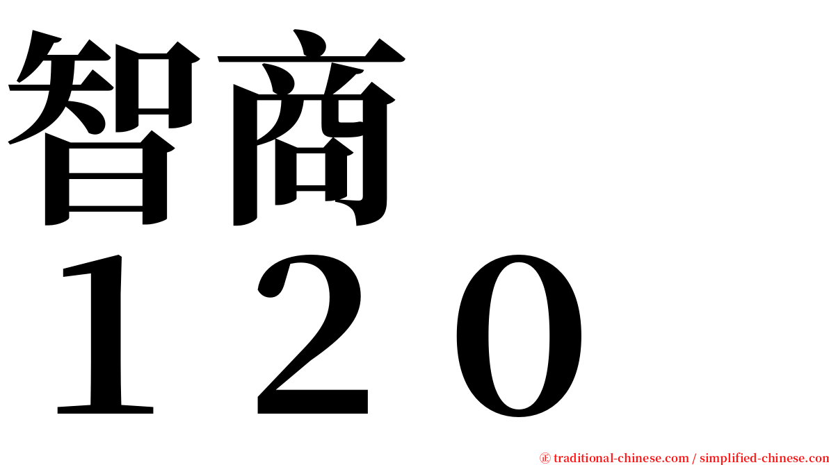 智商　　１２０ serif font